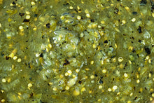 Load image into Gallery viewer, SALSA VERDE (2 JARS)